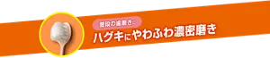 普段の歯磨きに ハグキにやわふわ濃密磨き