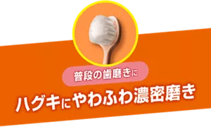 普段の歯磨きに ハグキにやわふわ濃密磨き