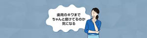 歯周のキワまでちゃんと磨けてるのか気になる