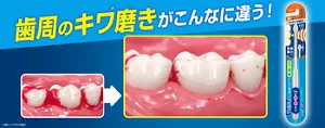 歯周のキワ(*)磨きがこんなに違う!(*歯とハグキの境目) ピュオーラ 1本磨きPROハブラシ