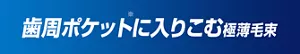 歯周ポケット(※)に入りこむ極薄毛束