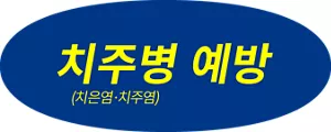 치주병 예방 (치은염·치주염)