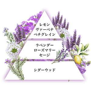 セントイメージアートⓇ