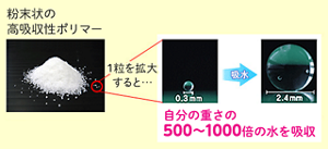 粉末状の高吸収ポリマーのイメージ