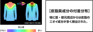 ※皮脂の付着分布 可視化画像 【皮脂臭成分の付着分布】特に首・襟元周辺からは皮脂のニオイ成分が多く検出された。