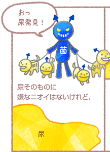尿そのものに嫌なニオイはないけれど、