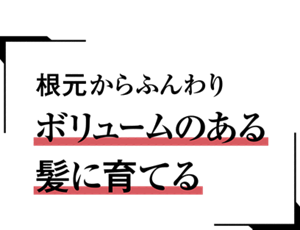 根元からふんわりボリュームのある髪に育てる