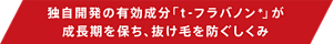 独自開発の有効成分「t-フラバノン*」が成長期を保ち、抜け毛を防ぐしくみ