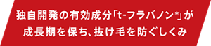 独自開発の有効成分「t-フラバノン*」が成長期を保ち、抜け毛を防ぐしくみ
