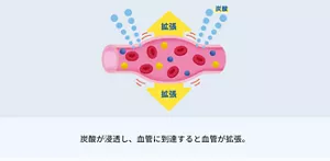 炭酸が浸透し、 血管に到達すると血管が拡張。