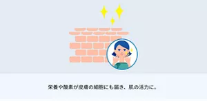 栄養や酸素が皮膚の細胞にも届き、肌の活力に