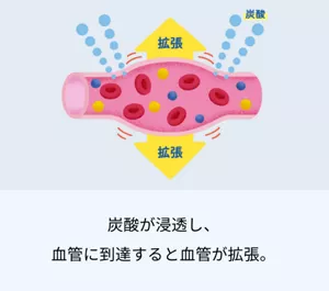 炭酸が浸透し、 血管に到達すると血管が拡張。
