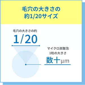 毛穴の大きさの約1/20サイズ