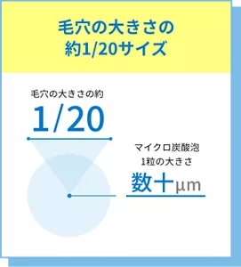 毛穴の大きさの約1/20サイズ