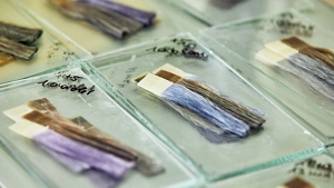 Kao_Website_RD_Innovation_Header_301121