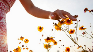 Kao_Website_Sustainability_Landing_Consumer-ESG-Strategy_161221