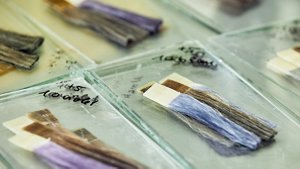 kao_emea_transparency_animal-testing_image