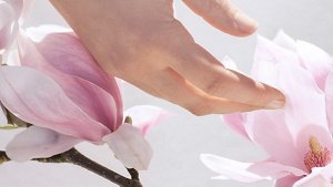 kao_emea_transparency_fragrances_image