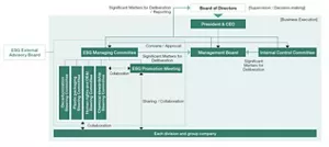 ESG governance structure