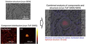 An image made by overlaying the spatial distribution of the surfactant and the oil analyzed by cryo-ToF-SIMS on the solution microstructure observed by cryo-SEM.