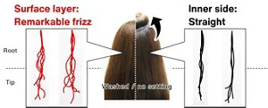 Shapes of washed, unset hairs that had been collected from the surface layer and inner layer of the hair were individually observed. The hairs collected from the surface layer had conspicuous frizz across the whole region ranging from root to tip, whereas those collected from the inner layer were straight.