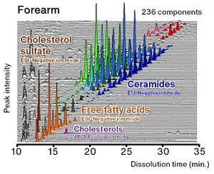 An example of simultaneous analysis of intercellular lipids. A total of 236 intercellular lipid components, including ceramides, cholesterols, cholesterol sulfate and free fatty acids, were detected.