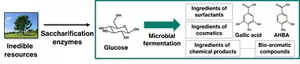 Inedible resource-derived glucose is converted to ingredients for surfactants, cosmetics, and chemical products through microbial fermentation. Bio-aromatic compounds, such as gallic acid and AHBA, are produced.