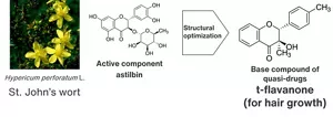 Development of t-flavanone (a base compound of quasi-drugs) with an enhanced hair-growing effect by structural optimization of astilbin, an active component contained in St. John’s wort.