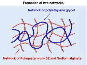 Conceptual diagram of two networks formed by mixing Polyquaternium-52, sodium alginate, and polyethylene glycol