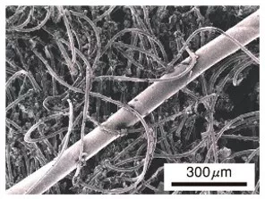 Photograph of hair caught by Quickle Wiper