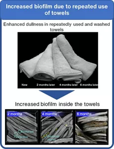 An image verifying that repeatedly washed and used towels result in an increase of biofilm. Four towels are compared: a new towel and those used for two, four, and six months. Apparent dullness increases according to how long they are used. Microscopic observation reveals increased biofilm between the fabrics in the towel.