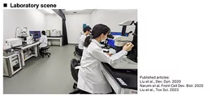 A picture of a real laboratory scene. Researchers do observations with microscopes.