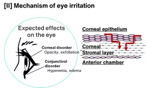 A figure explaining the mechanism of how eye irritation occurs. When these products accidentally get in your eyes, they infiltrate the outer layer of the cornea and enter the inner layer, which may result in corneal or conjunctival disorder.