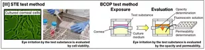 This explains two test methods for evaluating eye irritation. The left figure concerns the STE method. A test substance is added to cultured corneal cells and evaluated by the cell viability. The right figure relates to the BCOP method. A test substance is added to the cornea placed on the culture medium and evaluated by determining then corneal opacity and permeability to the culture medium.