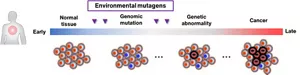 This is a figure showing the progression of genome mutations. Initially, only normal cells are present, but as they are influenced by the environment, the genome undergoes mutations, which accumulate and ultimately lead to carcinogenesis.