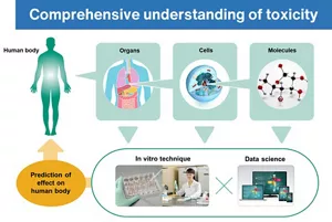This is a conceptual diagram of integrated understanding to predict systemic toxicity. By combining in vitro techniques and data science, it aims to predict toxicological effects related to organs, cells, and constituent molecules.
