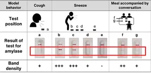 Relationship between model behaviors, namely a cough, a sneeze and a meal accompanied by conversation, and test positions and the amylase test results. After a cough, one-plus band density was detected near the chest. After a sneeze, three-plus band density was detected near the feet, one-plus band density at a position approx. 2 m away, and one-minus band density at a position approx. 3 m away. After a meal accompanied by conversation, two-plus band density was detected near the chest and one-plus band density around the center of the table.