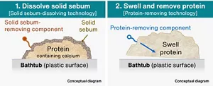 Figure that shows the cleaning mechanism and technology for removing grime remaining in the bathtub. The grime is calcium-containing protein covered with solid sebum that sticks to the bathtub surface (made of plastic). Cleaning mechanism 1. The component that removes solid sebum dissolves the sebum on the surface of the protein (solid sebum-dissolving technology). Cleaning mechanism 2. The protein-removing component swells and removes the protein (protein-removing technology).