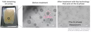 Optical micrographs of yolk remaining on a tray. The surface of the dirt was stained with Ca. Before treatment, the G phase was sprinkled like islands through the P phase. After treatment with the technology that acts on the G phase, it disappeared.