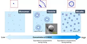 Changes in the way Bio IOS (C18IOS) aggregates in tap water. In a concentration range equivalent to concentrations present during washing, it is present in the form of micelles (with a particle size of several nanometers), and in a concentration range equivalent to concentrations during rinsing, it is present in the form of vesicles (with a particle size of approx. 200 nanometers. The image of vesicles is accompanied by an electron micrograph). At lower concentrations, it is present in the form of monomers.