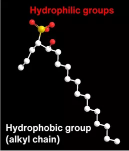 Molecular model of the typical structure of Bio IOS (C18IOS). The molecular model consists of two adjacent hydrophilic (water-attracting) groups and a hydrophobic (water-repelling) group in the form of a branched alkyl chain.