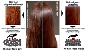 Comparison between hair aligned uniformly and hair not aligned uniformly. Hair not aligned uniformly does not look beautiful. When the hair is touched with a hand, the contact area between the fingers and the hair is small and heat transfer is small. So it feels dry. On the other hand, hair aligned uniformly looks beautiful. When the hair is touched with a hand, the contact area between the fingers and the hair is large and transfer of body temperature is large. So it feels moist.