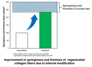 The Young's moduli of unmodified and modified fibers were determined and their springiness and firmness were evaluated. The springiness and firmness value for the modified collagen fibers when wetted increased to approx. 230 from 100 for the unmodified collagen fibers, and was comparable to human hair.