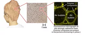 Micrograph of the strongly adhesive foam. When foam spread throughout the hair is observed under a microscope, you can see the polymer composites trapping air bubbles. A single bubble is 1 mm or smaller in size.