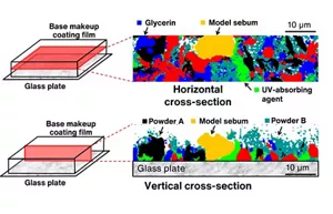 By analyzing the ingredients in a makeup coating film with Raman spectroscopy, we can observe its horizontal and vertical cross-sections.