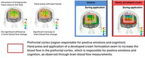 This presents the evaluation results of "positive emotions" through brain blood flow measurements. When a hand press or a developed cream formulation is applied, an increase in blood flow change is easily observed in the prefrontal cortex, which is the brain region responsible for positive emotions and cognition.
