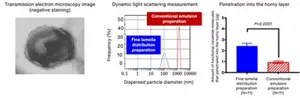 The picture shows a transmission electron microscope image. The image shows the presence of a layered structure in a fine emulsion preparation. The second image shows the results of measuring the size of particles in the fine emulsion by dynamic light scattering. While the size of particles in preparations made with conventional emulsion technology is around 1000 nanometers, the size of particles in our fine emulsion is around 100 nanometers. The third image shows the penetration rate of functional ceramide molecules to the horny layer. The amount of fine emulsion particles that penetrated to the horny layer is about 2.5 microgram, while that of conventional emulsion preparations is about 1 microgram. Compared with conventional emulsion preparations, the penetration rate of functional ceramide molecules to the horny layer is higher with our fine emulsion particles.