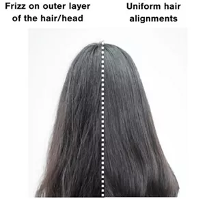 Images comparing frizz on outer layer of the hair/head (left) and Uniform hair alignments (right)