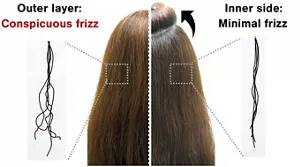 Images comparing frizz on the outer layer of head (left) and minimal frizz on the inner side of the head (right)