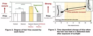 Image (left) showing that strong frizz occurs when hair exposed to sunlight is held in a distorted state. Image (right) showing that the longer the holding time, the stronger the frizz.